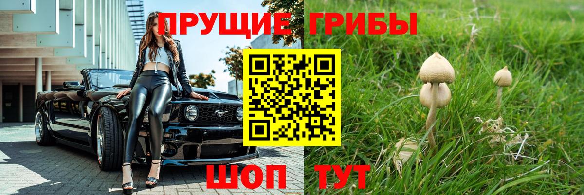 Псилоцибиновые грибы прущие грибы  Псилоцибиновые грибы прущие грибы  Вход с VPN  Арсеньев 