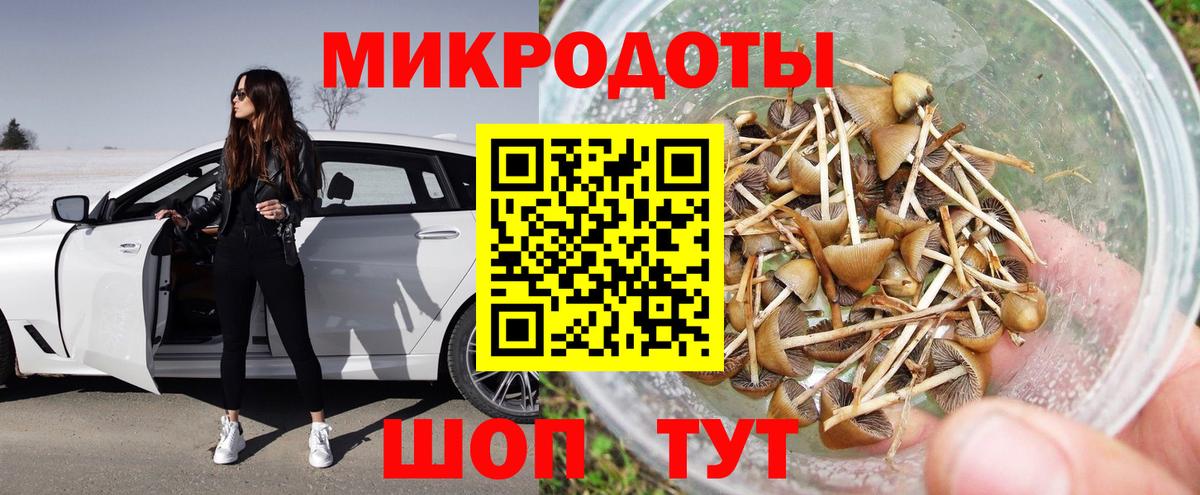 Псилоцибиновые грибы прущие грибы Арсеньев